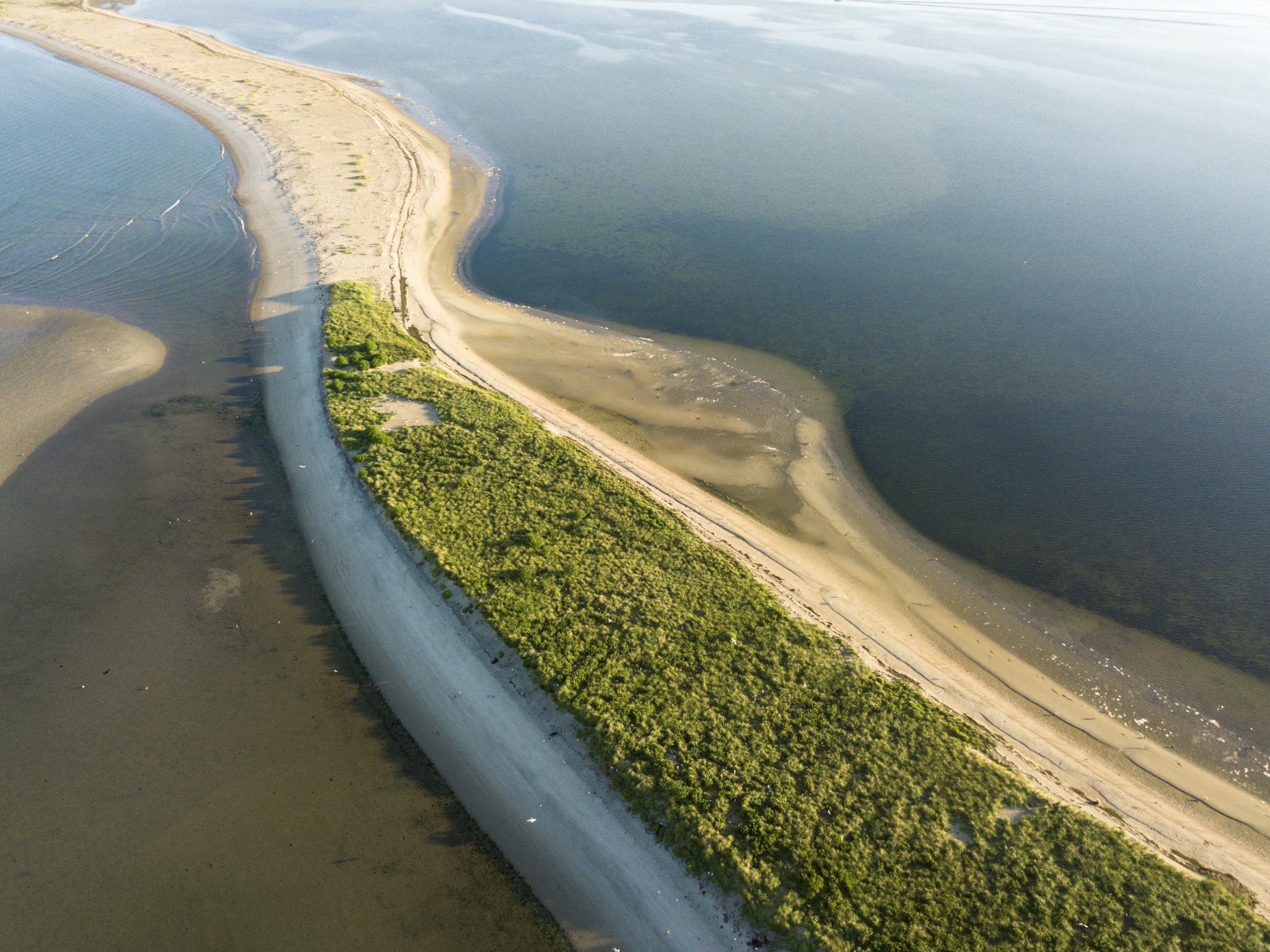 DJI_0149-2